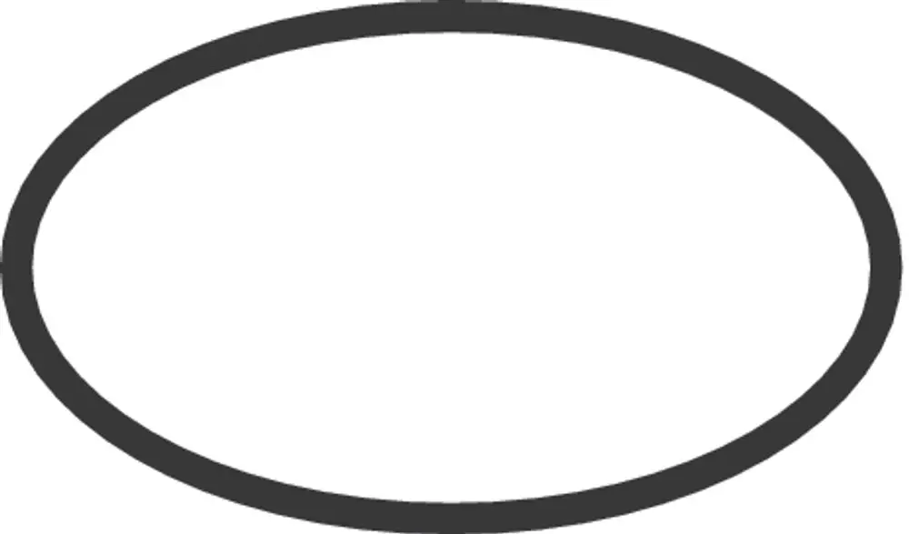 Schwarzer O-Ring mit ovaler Form auf weißem Hintergrund. Der O-Ring könnte Teil eines Hansgrohe-Produkts sein.